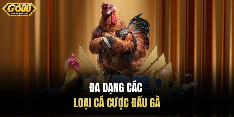 Đa dạng các loại cá cược đấu gà